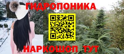 ПСИЛОЦИБИНОВЫЕ ГРИБЫ Лесосибирск