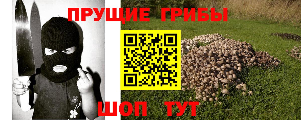 Галлюциногенные грибы мицелий Чебаркуль