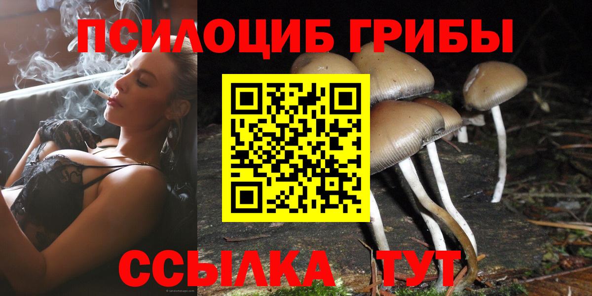 Чебаркуль  Псилоцибиновые грибы Psilocybine cubensis  купить  цена  Вход с VPN 